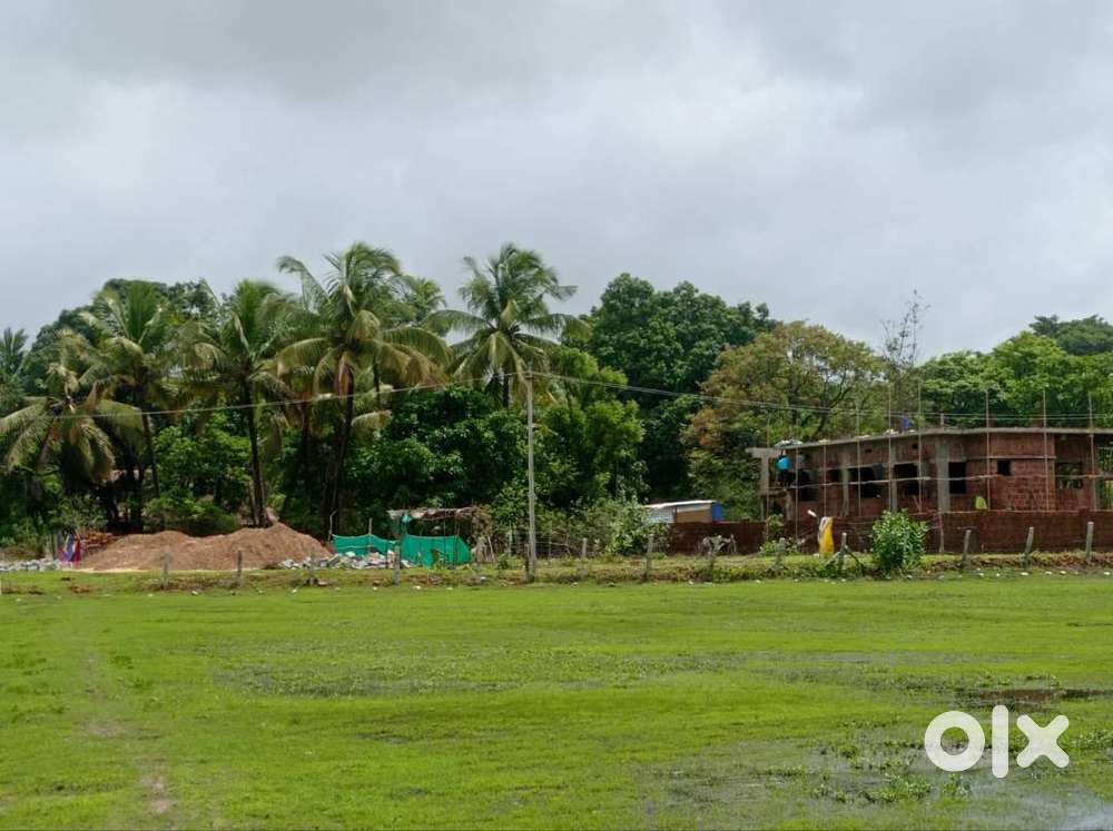 Plots/land available at angdi.