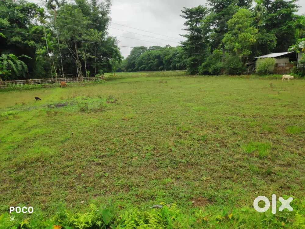 3 kattha Land for sale, located at Nagsankar, Natelia gaon