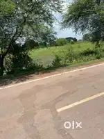 Khurmuda farm
