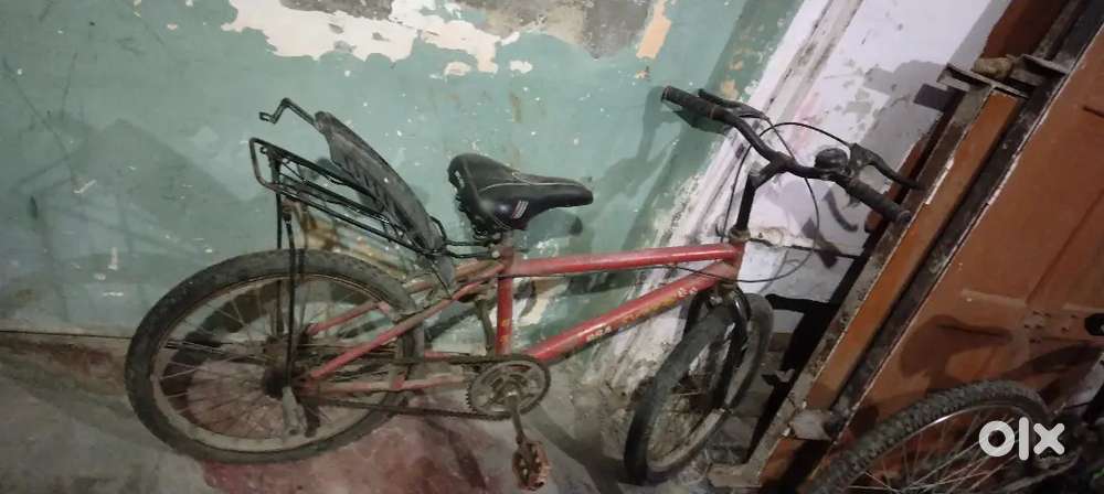 3 year old cycle