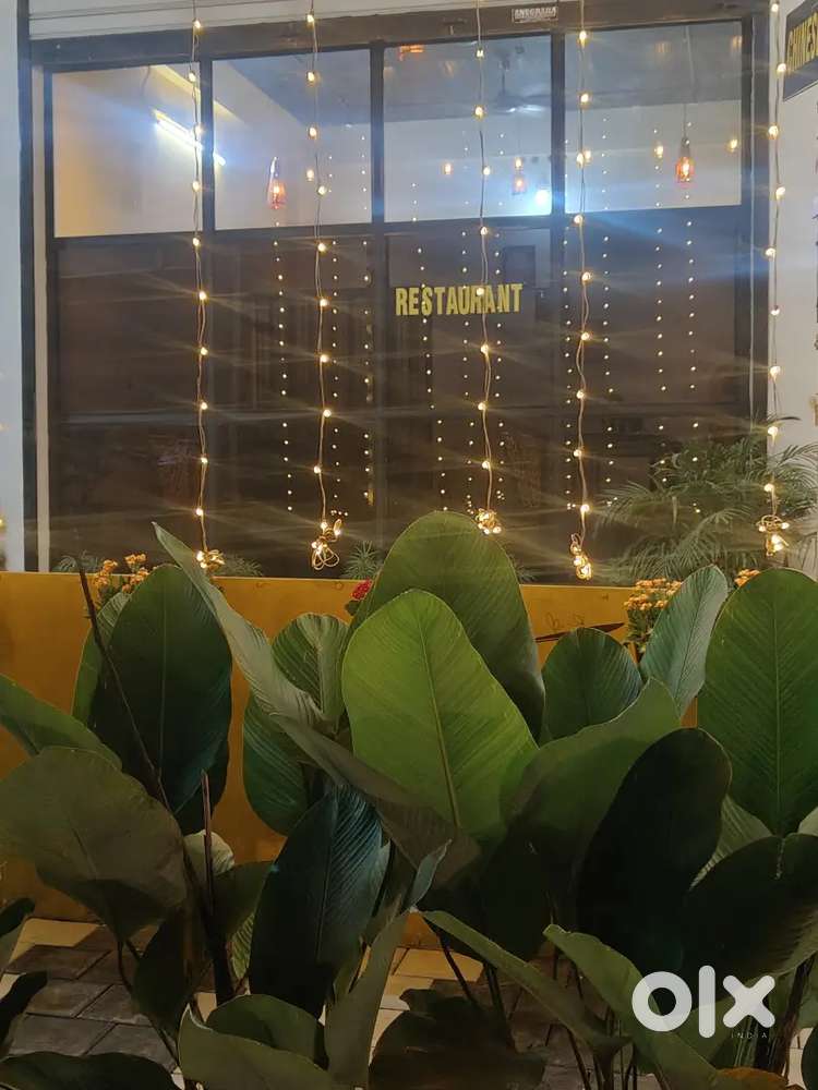 Porotta and chay master needed