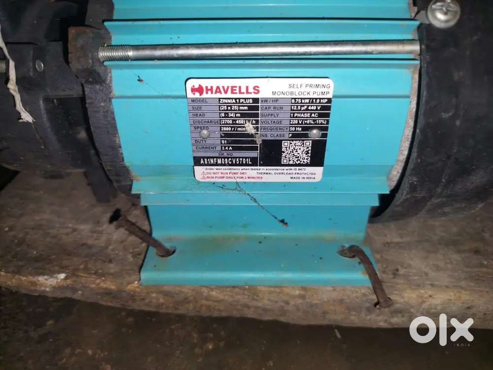 Pump motor