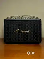 Marshall Kilburn 2 (less than a week old)