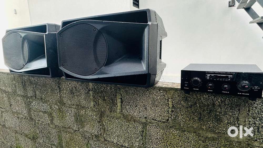 Professional speaker with amplifier