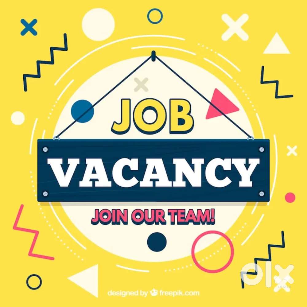 Looking for web developer - freshers