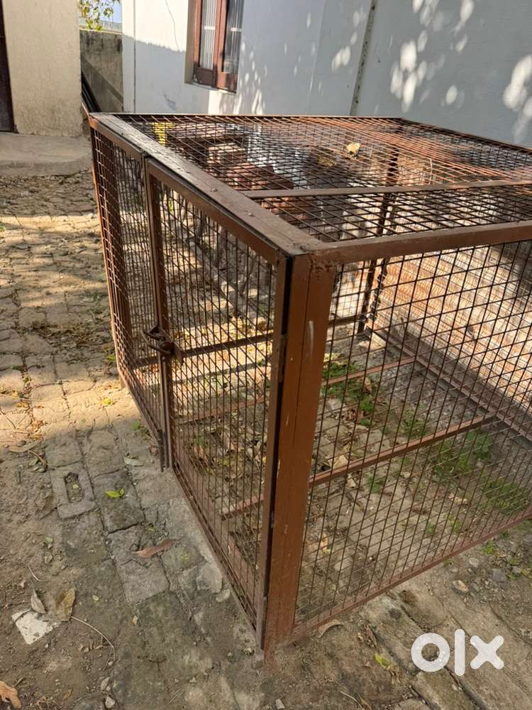 Dog Cage 5*5.5feet well Built Iron having weight of 70 kgs approx