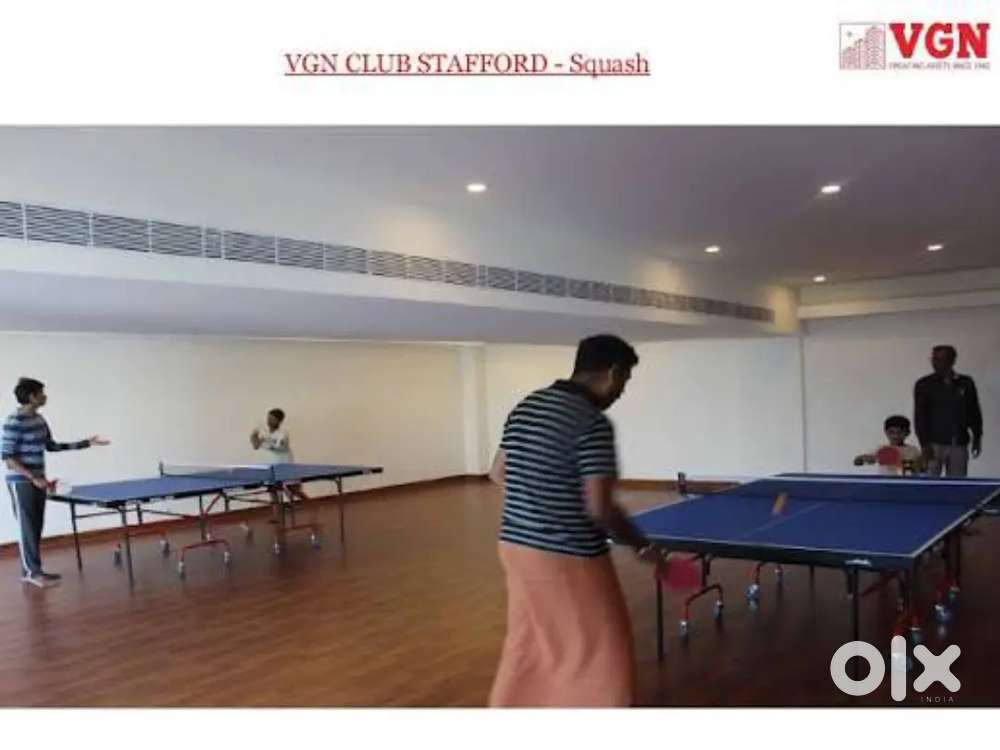 Looking for a roommate