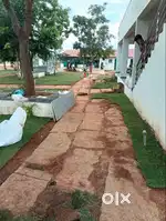 Aroma sandalo Phase -4