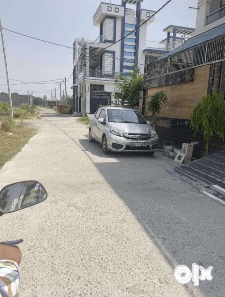 Dream size plot in well developed colony