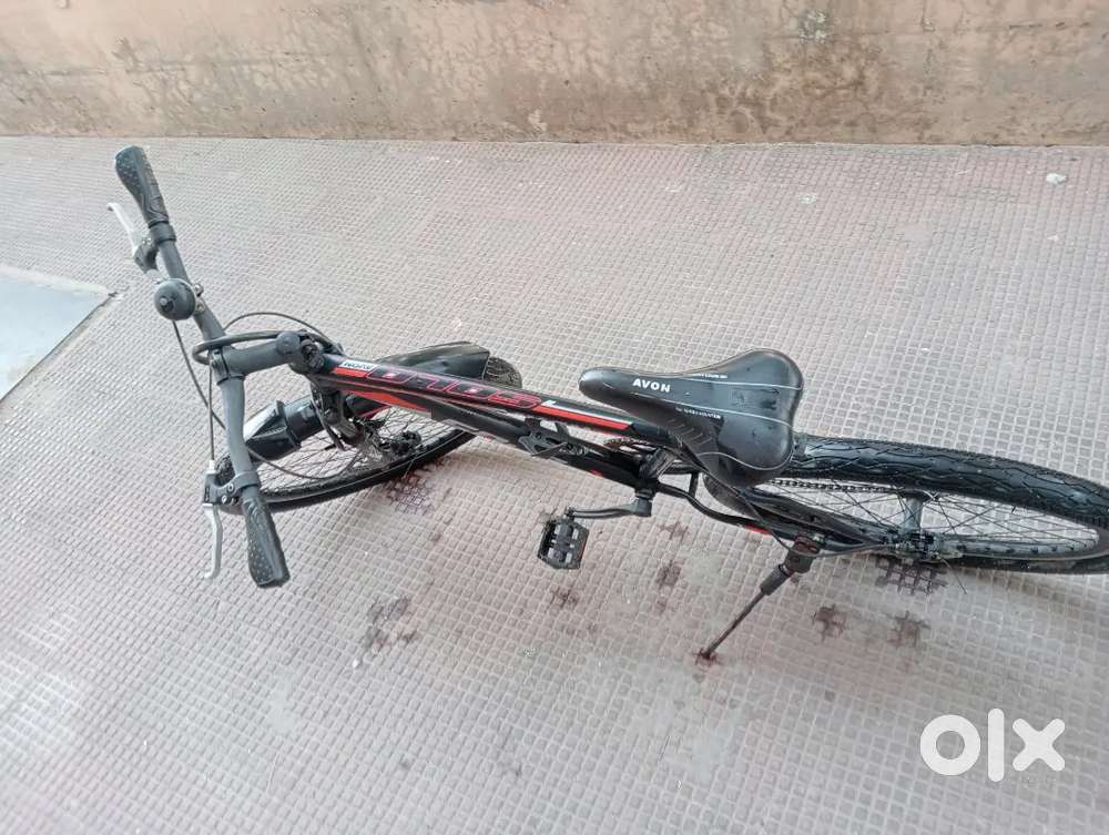 AVON SOLO CYCLE 2024