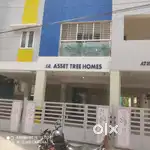 New Luxurious Apartment pammal