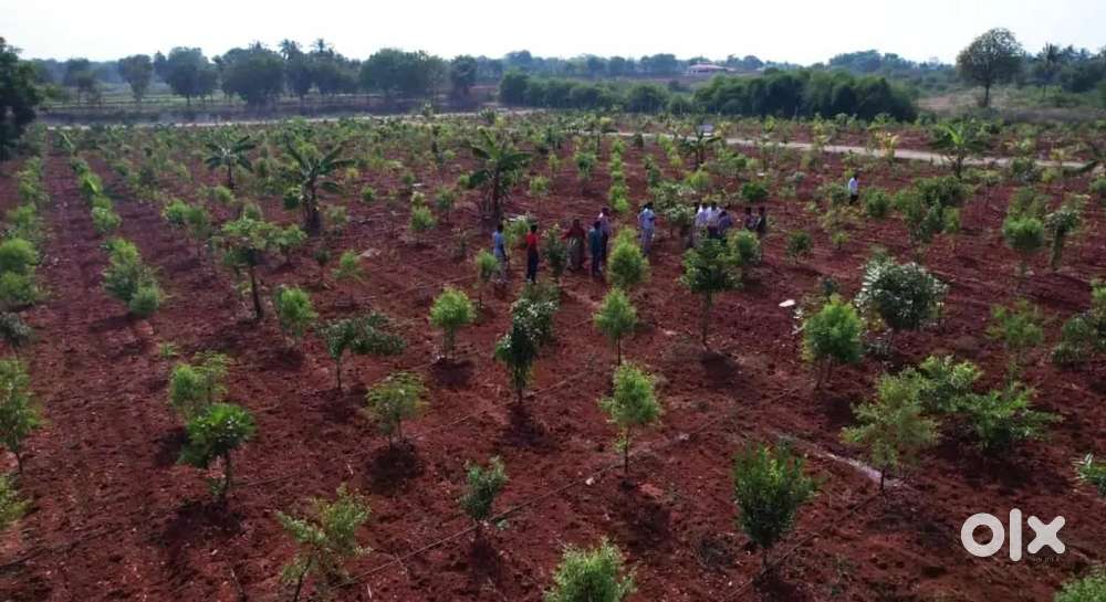 FARMLAND WITH GOOD RETURNS AND WEEKEND HOME