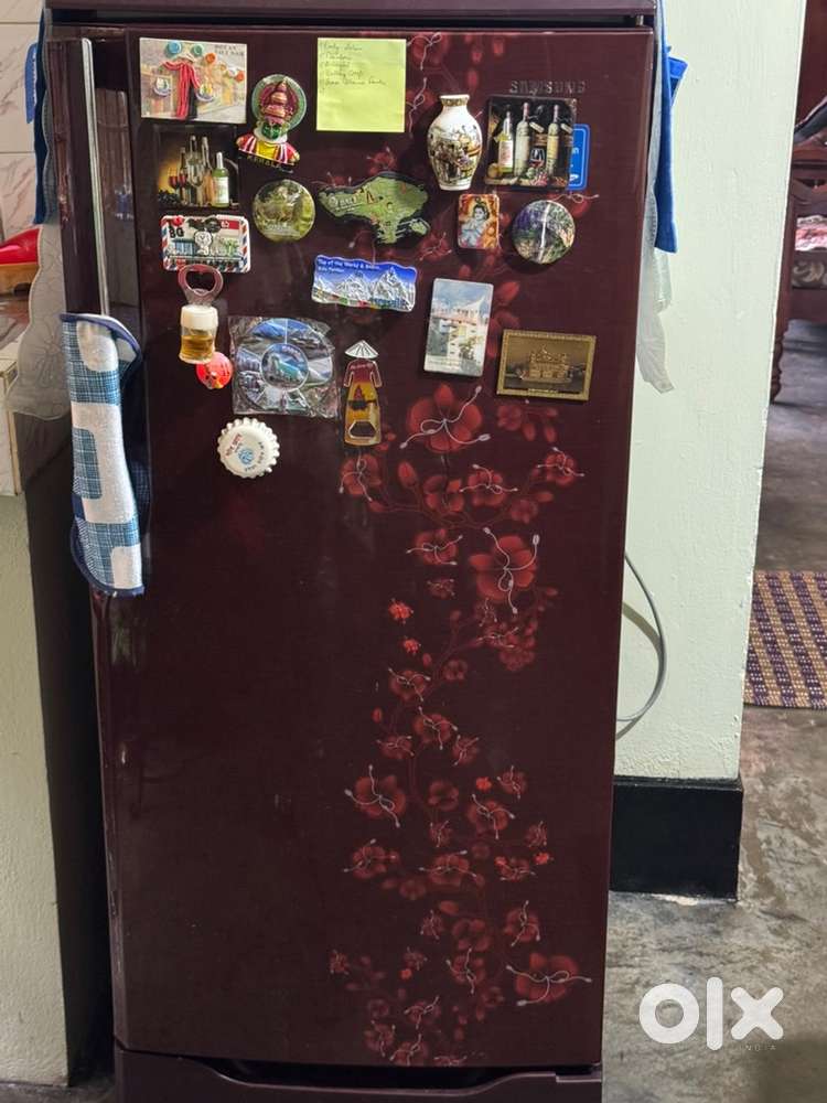Samsung fridge