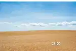 Land for sale in mattu,katapadi 45 cents for 2.50 L per cents