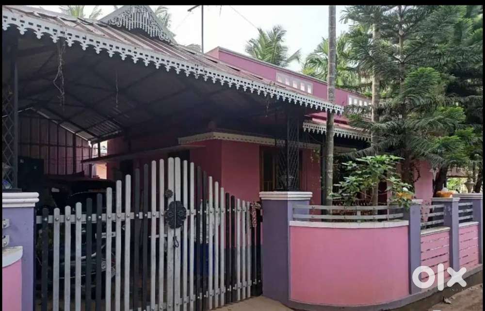 Property for rent in ottapalam