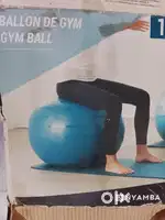 Gym ball for exercise and stretching (urgent)