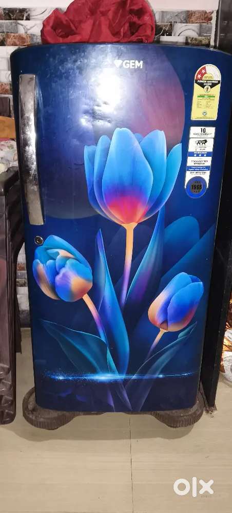 Fridge ek saal purana model