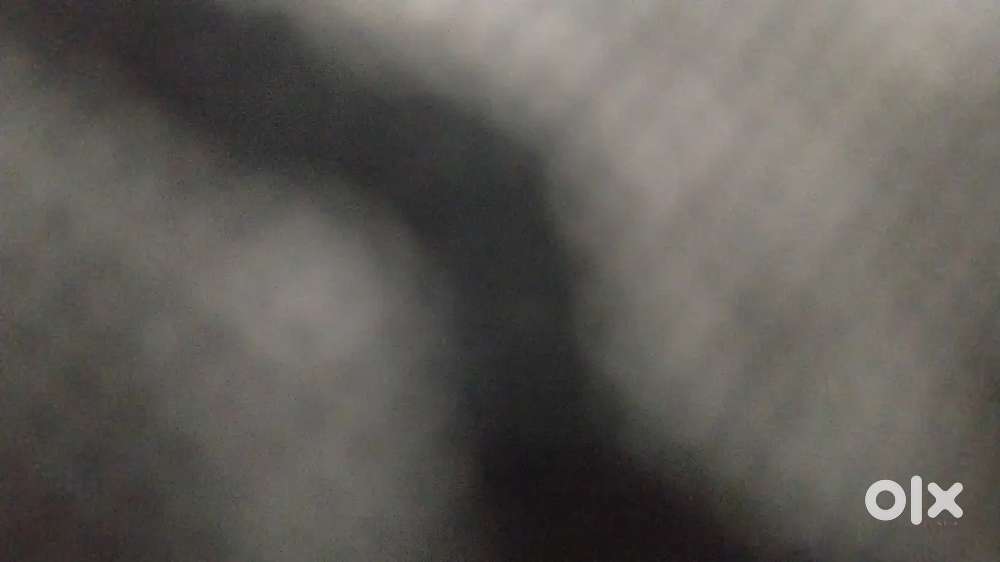 Helper (girl) for canteen