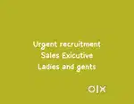 Sales exicutive vacancy - Toys shop