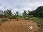 1 acre land for lease or rent