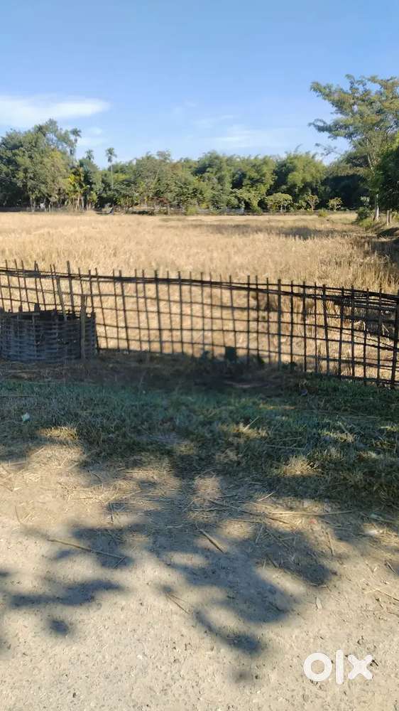4 kotha land for sale in bolama