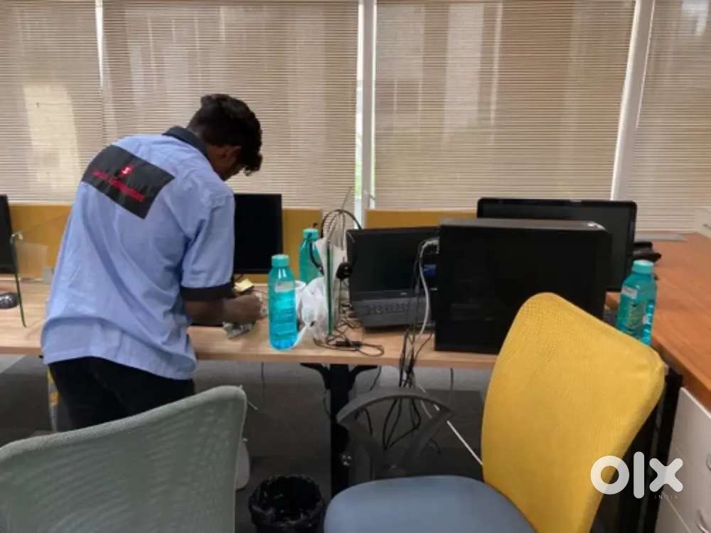 Wanted office boys
