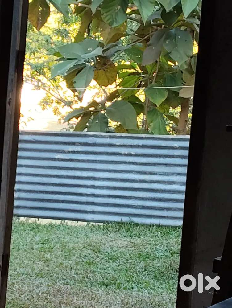 Urgent sale 3kata all documents ok