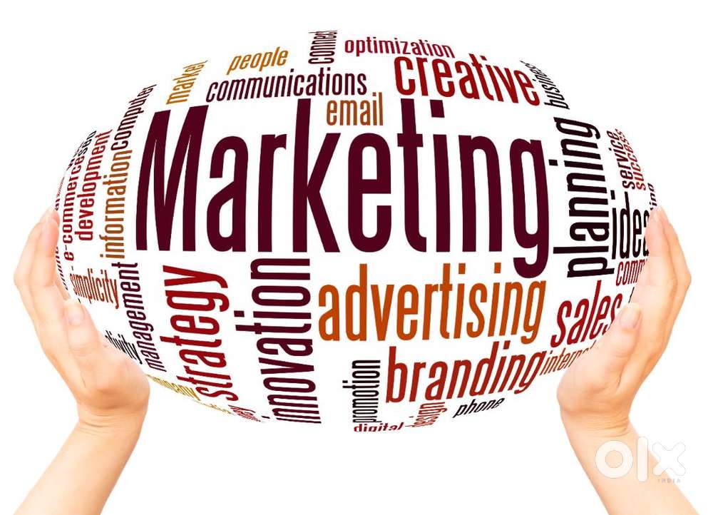 Marketing Manager / Executive