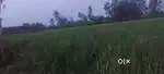 3.4 bigh jameen bikau hai 4.2 lakh rupee bigha