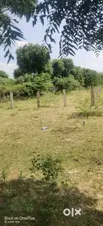 जोजावर मारवाड़ जंक्शन पाली राजस्थान