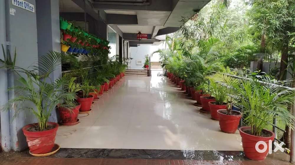 Plot sale बड़े प्लाट