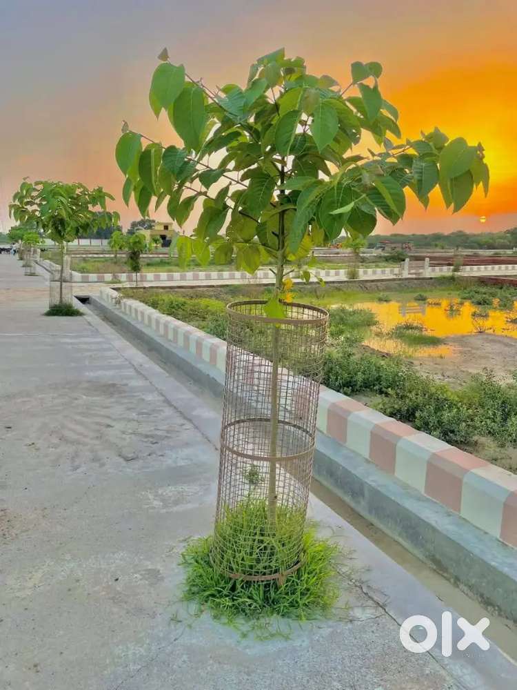 नए साल पर रजिस्ट्री फ्री के साथ प्लॉट सुल्तानपुर हाइवे पर