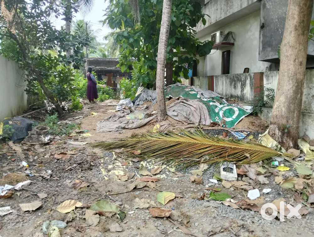 సగంచెర్వు సైట్