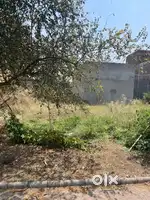 Plot for sell urgent