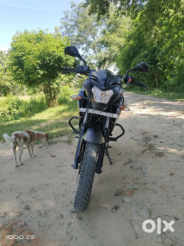 Pulsar NS 160 BS4 2019 model
