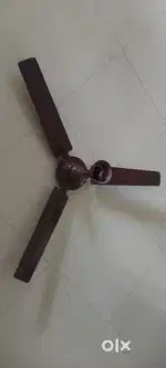 Reduced price Bajaj Celing Fan