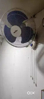 Wall mount fan