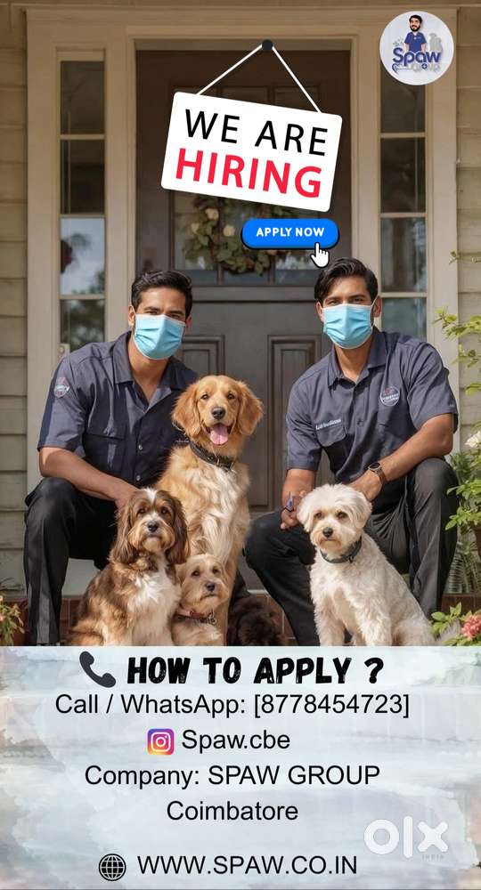 pet groomer