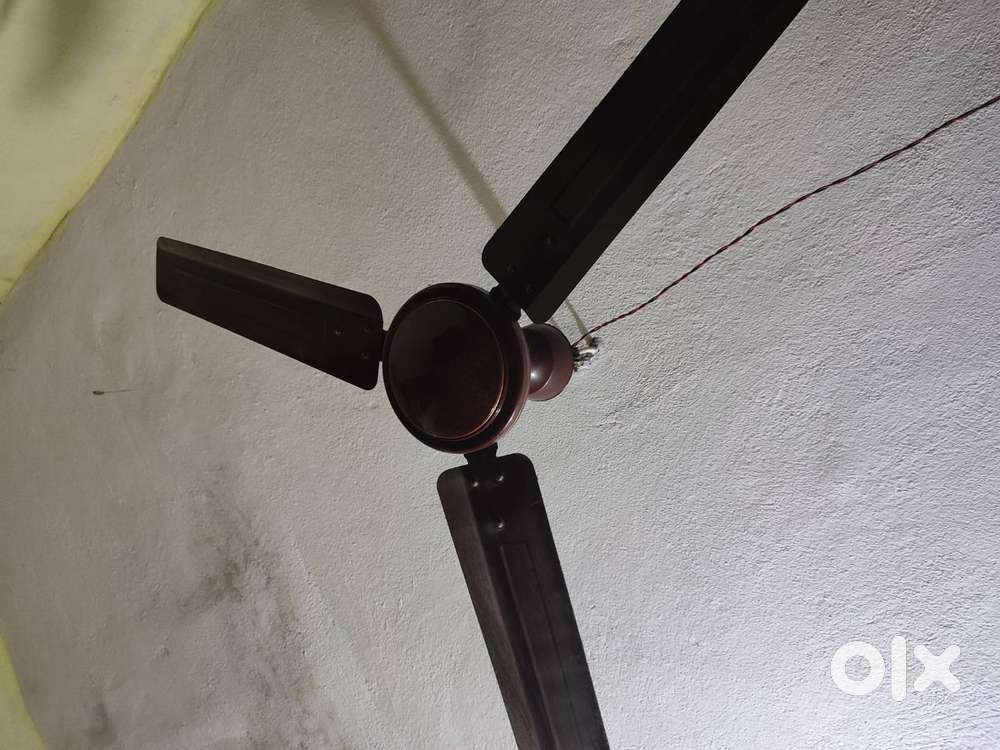 Jaguar 3-blade Ceiling Fan – Excellent Condition