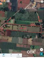 3 acre Agriculture land for sale at B Seehalli at (170000 per gunte)
