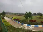 12 kms from Mysore city