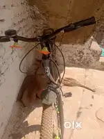 नोवा की साइकिल