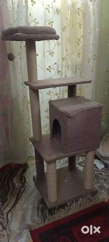 Cat house available in lot