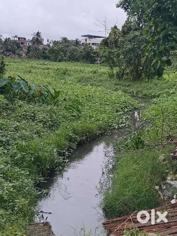 Land fresh area khaikhali biman nagar on table negotiable