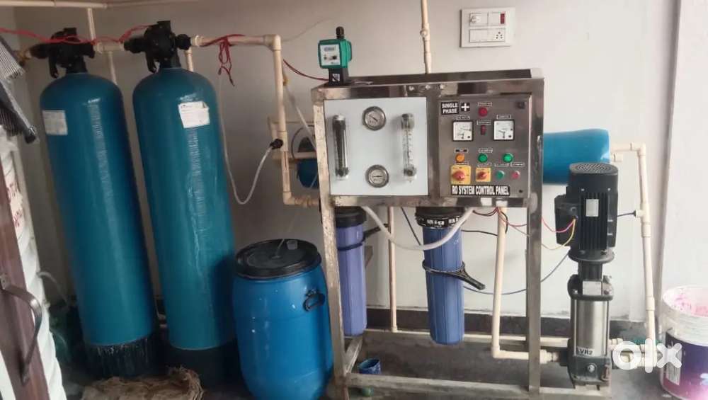 Water plant for sale