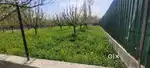 30 marla Corner plot At dangarpora 300m from highway