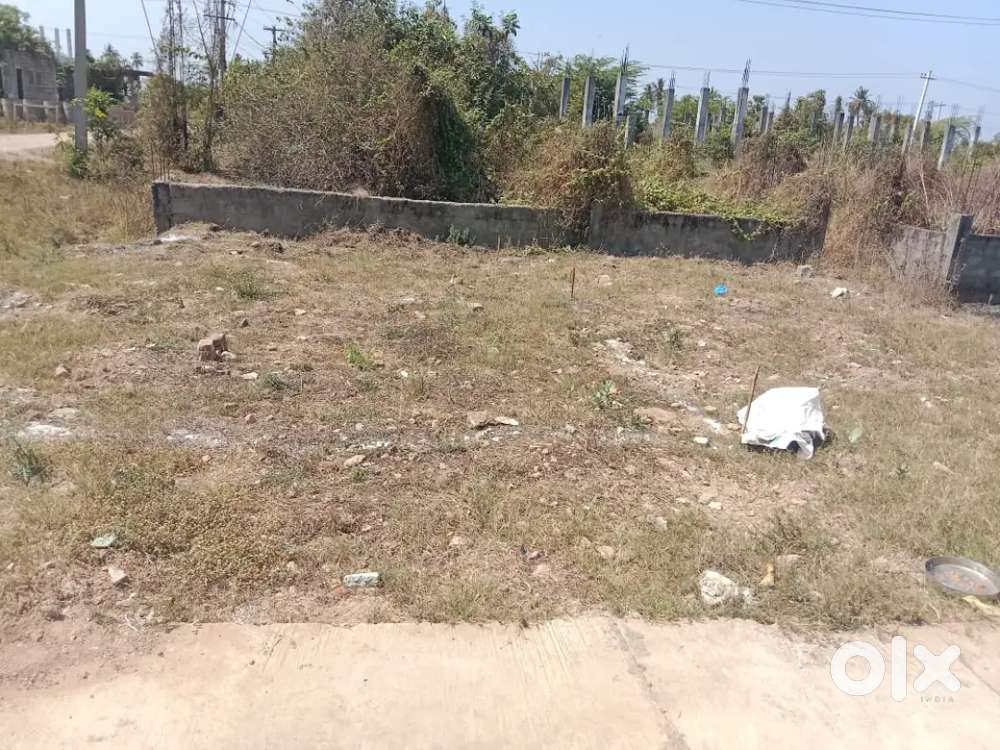 House tax paid, b forum land Electricity bill paid