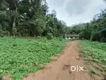 2 Acar(200 cent)Angamaly, Poothamkutty Land.