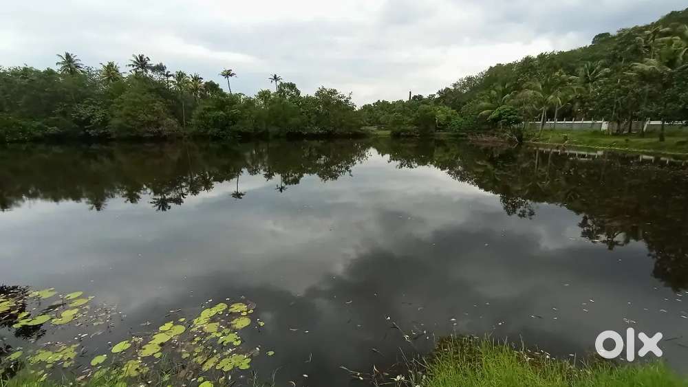 2 accre pool 45000 per cent