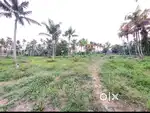 120 cent orginal land for sale in kakkanad near palachuvad